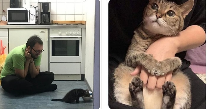 25 самых очаровательных фото пушистиков, которые дадут вам ответ на вопрос "Зачем мне заводить кошку"