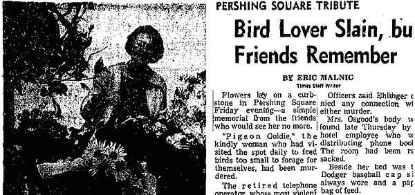 8. Güvercinleri beslemeyi çok sevdiği için çevresi tarafından 'Güvercin Goldie' olarak bilinen Goldie Osgood, 1964 yılında Cecil Hotel'deki odasında ölü olarak bulunur.