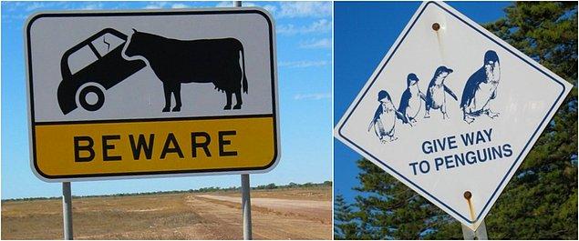 5. Bir de Avustralya'da yollar o kadar uzun ve sıkıcıdır ki sürücüler eğlensin diye tabelalar konmuştur.