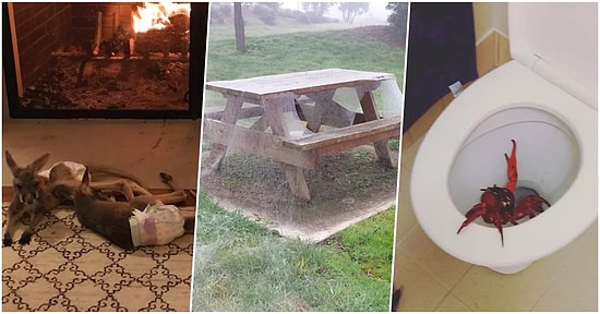 Tüm Dünyada Sadece Ama Sadece Avustralyalılar'a Normal Gelen Ama Özünde Garip Olan 20 Şey