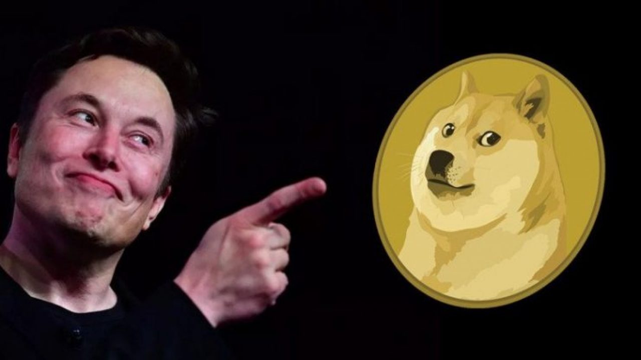Elon Musk Bu Kez Darbe Vurdu Dogecoin Değer Kaybetti! Dogecoin Kaç TL Oldu?  - Onedio