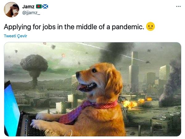 15. "Pandeminin ortasında iş başvuruları yaparken ben"