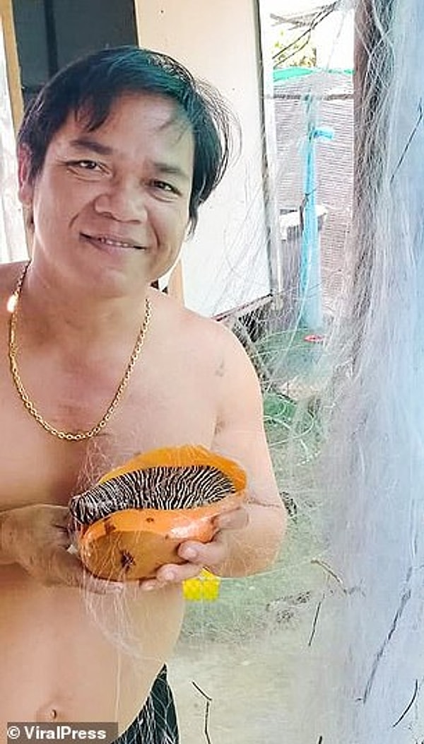 Обрадованный отец сейчас проверяет подлинность хранимой жемчужины, но считает, что мог бы выручить за нее сотни тысяч долларов.