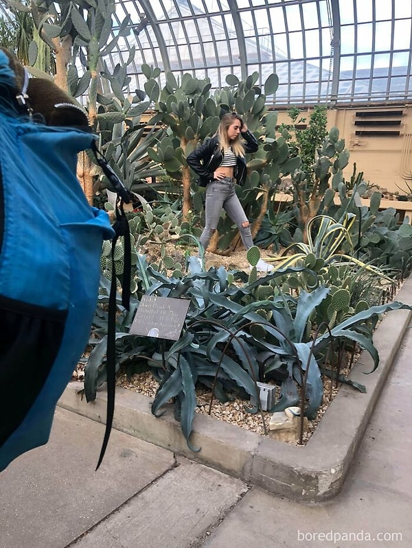 7. Эта девушка затоптала все растения, несмотря на то, что сотрудники постоянно просили ее остановиться. Все это ради крутых "модельных" фото в Instagram