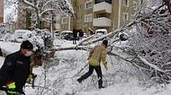 İstanbul'da Kar Yağışının Bilançosu: Fırtınada 517 Ağaç ve Direk Devrildi