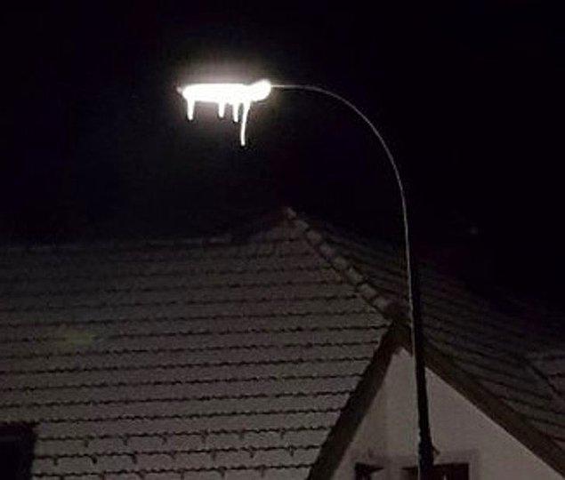 14. "Sokak lambasındaki buz yüzünden ışık damlıyormuş gibi görünüyor."
