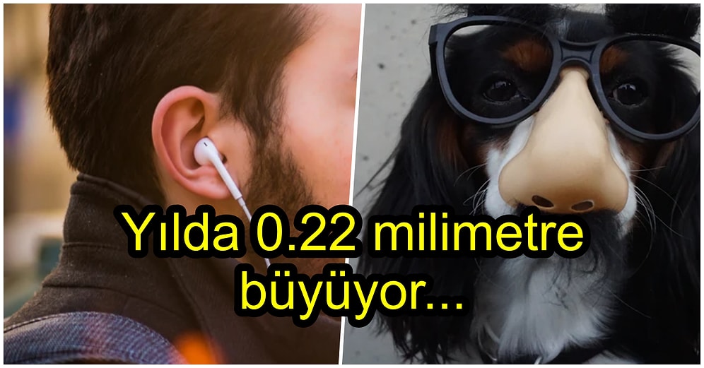 Yaşımız İlerledikçe Neden Kulaklarımız ve Burnumuz da Büyümeye Devam Eder?