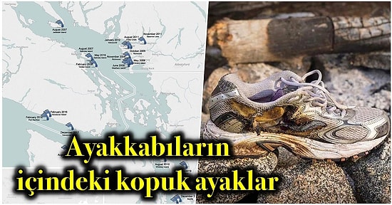 21.Yüzyılın En Gizemli Olayı: Salish Denizinde Ayakkabılar İçinde Kıyıya Vuran Kopuk Ayakların Sırrı