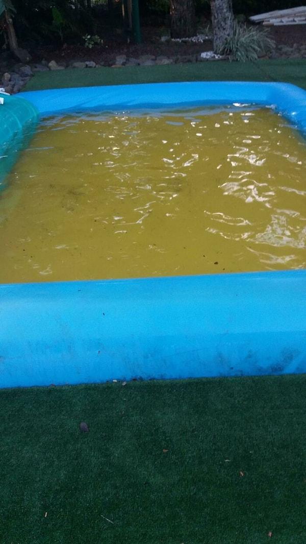 5. Bu şişme havuzun tabanında sarı plastik bir kaplama var, bu nedenle içi idrar doluymuş gibi görünüyor.