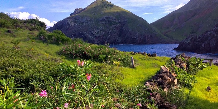 Doğa ile Yüzde Kaç Bütünleşik Olduğunu Söylüyoruz!