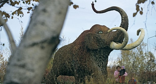 Sibirya'da Şaşırtan Keşif! 1 Milyon Yıllık Mamut Fosillerinden DNA Elde Edildi