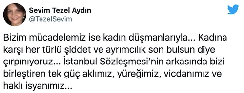 İstanbul Sözleşmesi'ni Hedef Alan MHP Milletvekili Sosyal Medyada Topa Tutuldu