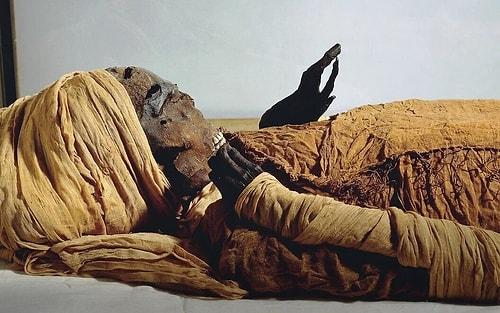 Antik Mısır Firavunu, Savaş Alanında Vahşice Öldürülmüş