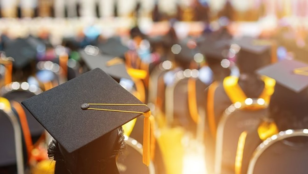 BBC Türkçe Araştırdı: Türkiye'de İntihal Sorunu Neden Arttı, Akademik Kalite Nasıl Geriledi?