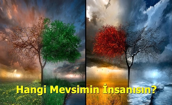 Yiyecek Tercihlerine Göre Hangi Mevsimin İnsanı Olduğunu Söylüyoruz!