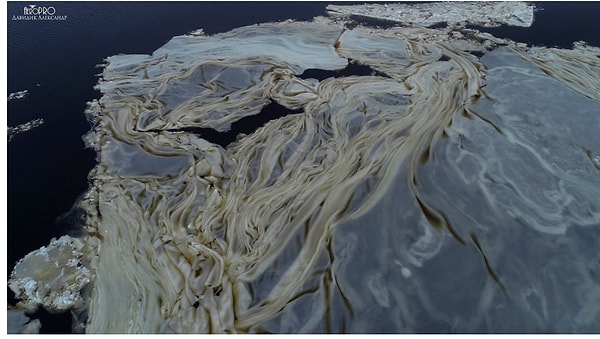 5. Замороженный жир.