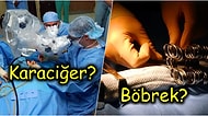 Vücudunuzdan Bir Organ Çıkartıldığında Oluşacak Boşluğa Ne Olur?