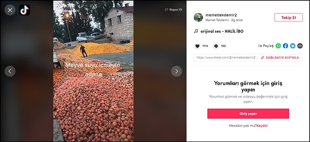 Bu kez de meyve suyu için toplandığı belirtilen narenciyelerin görüntüleri TikTok'ta paylaşıldı 👇