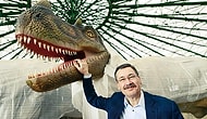 Gökçek'e Ankapark ve Dinozor Sevdası Soruldu: '450 Milyon Dolara Mal Oldu; Bu Çok Para mı?'