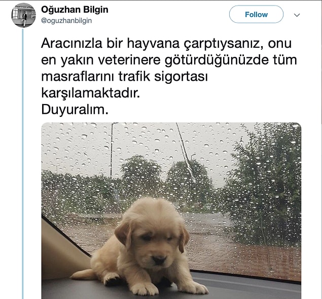 Twitter'da buna benzer bir duyuruyu en az bir kez görmüşsünüzdür.