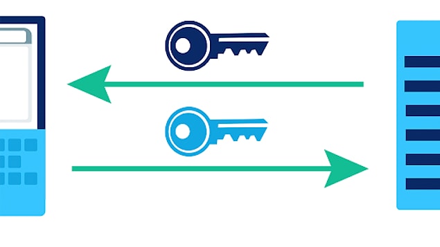 13. Public Key nedir?