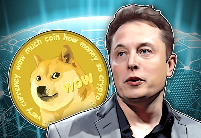 Değeri 2,1 Milyar Dolar: Dogecoin'lerin Yüzde 28’ine Sahip Olan Kişi Elon Musk mı?