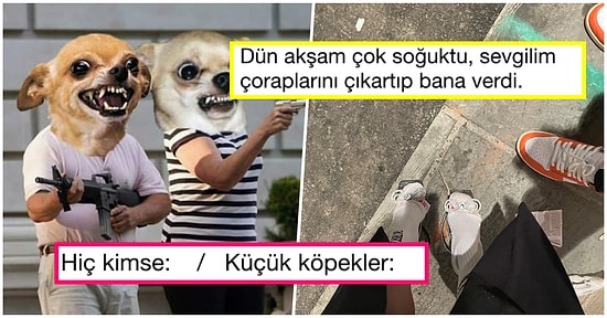 Denizaşırı Mizahta Bu Hafta: Son Günlerde Yabancıları Kahkahaya Boğmuş 17 Komik Tweet