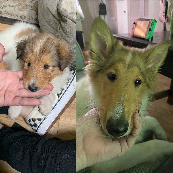 6. Тот случай, когда во взрослом возрасте ты выглядишь еще милее, чем в детстве!