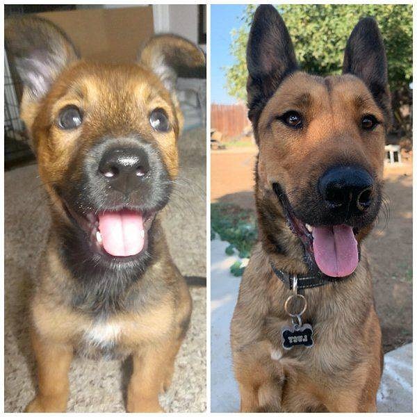 12. По-прежнему доволен жизнью!