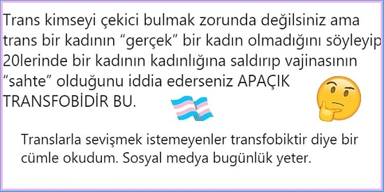 Yine Tartışma Var: "Bir Transla Birlikte Olmayı İstememek Transfobi midir?" Sorusu Twitter'ı Karıştırdı