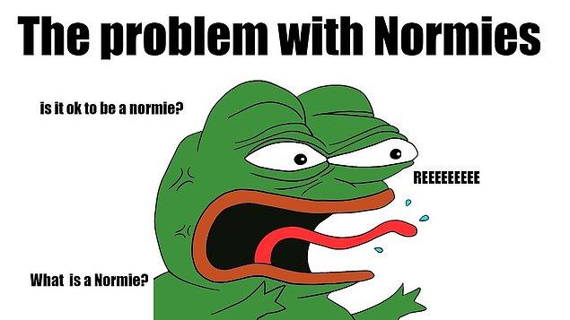 16. Norm/Normie