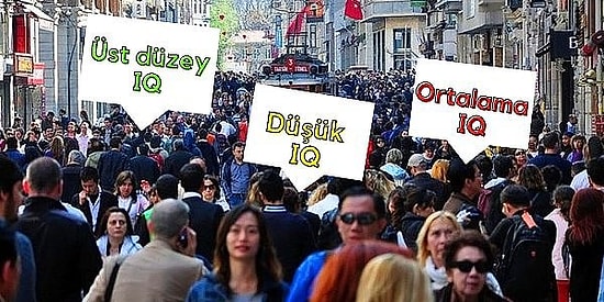 Türkiye’nin Yüzde Kaçlık IQ Dilimindesin?