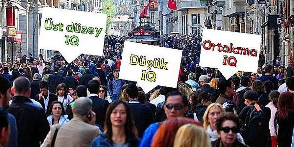 Türkiye’nin Yüzde Kaçlık IQ Dilimindesin?