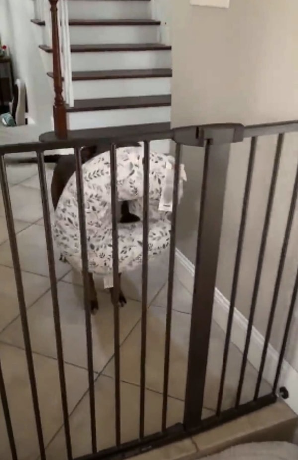 4. Ремус сразу же полюбил свою младшую сестру и делает все возможное, чтобы она чувствовала себя в безопасности.