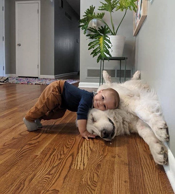 4. Дети и животные - это любовь!