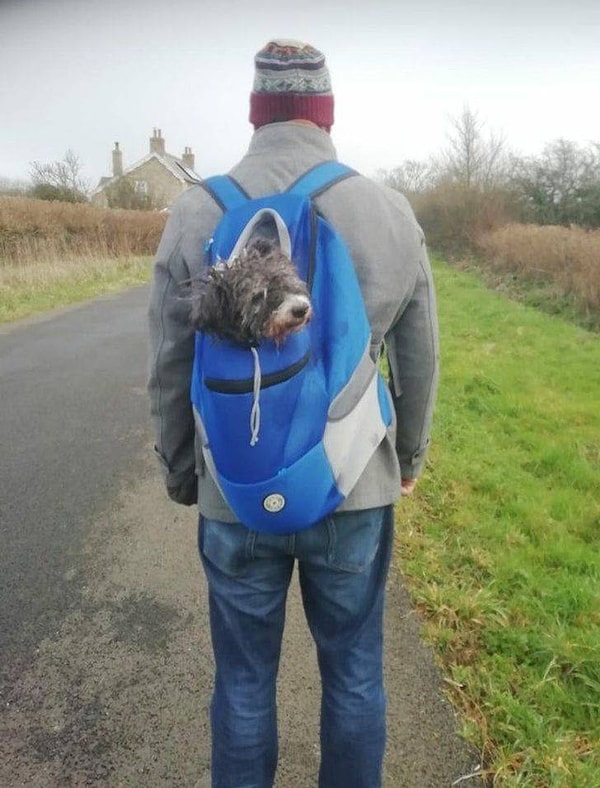 5. "Нашей собаке уже много лет, и ей тяжело гулять, поэтому родители купили для нее специальный рюкзак".