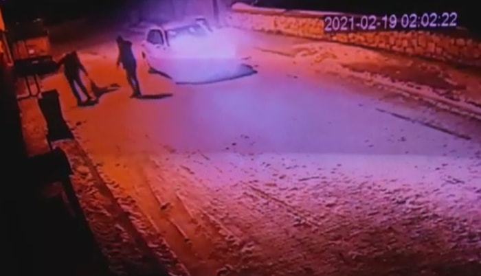Otomobille Kovaladıkları Köpeğin Üstünden Geçip Konteynere Attılar!