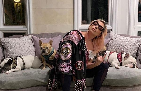 Lady Gaga'nın köpeklerine çok düşkün olduğu biliniyor.