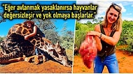 Sevgililer Günü Hediyesi Olarak Katlettiği Zürafanın Kalbini Söken ve Bunu da Böbürlenerek Paylaşan Kadın