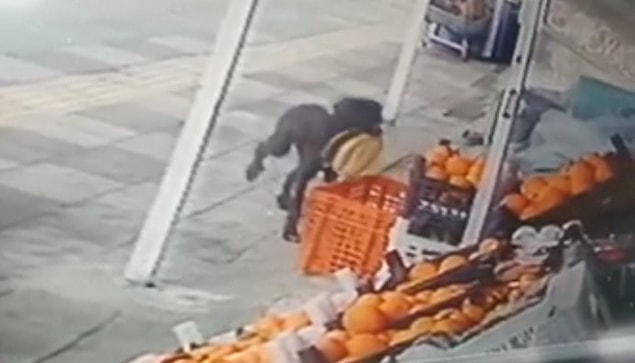 Batuhan Erbaş, her sabah ekmeklerden bir eksik olunca fırıncı ile görüştüğünü ancak oradan sayının tam geldiğini öğrenince kamera kayıtlarını inceleyince gerçeğin ortaya çıktığını söyleyerek, “Artık her gün bir ekmeğimiz köpeğimizin hakkı’ diyerek sokak köpeğine ekmeği kendisinin verdiğini söyledi.