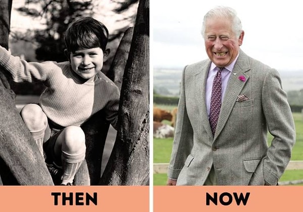 7. Чарльз, принц Уэльский