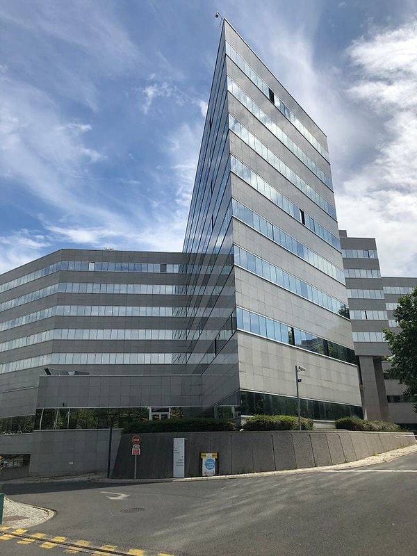 5. Но на самом деле оно треугольное!