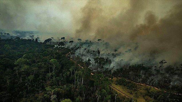 Facebook'taki toprak reklamlarının bir çoğu, Brezilya'nın en çok orman tahribi yapılan Rondonia eyaletinden.