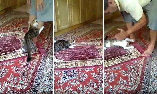 Namaz Kılan İnsan Dostunu Bir Türlü Rahat Bırakmayan Yavru Kedi