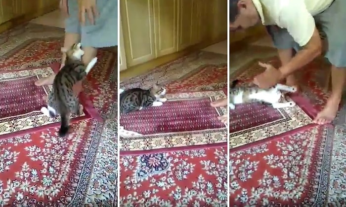 Namaz Kılan İnsan Dostunu Bir Türlü Rahat Bırakmayan Yavru Kedi