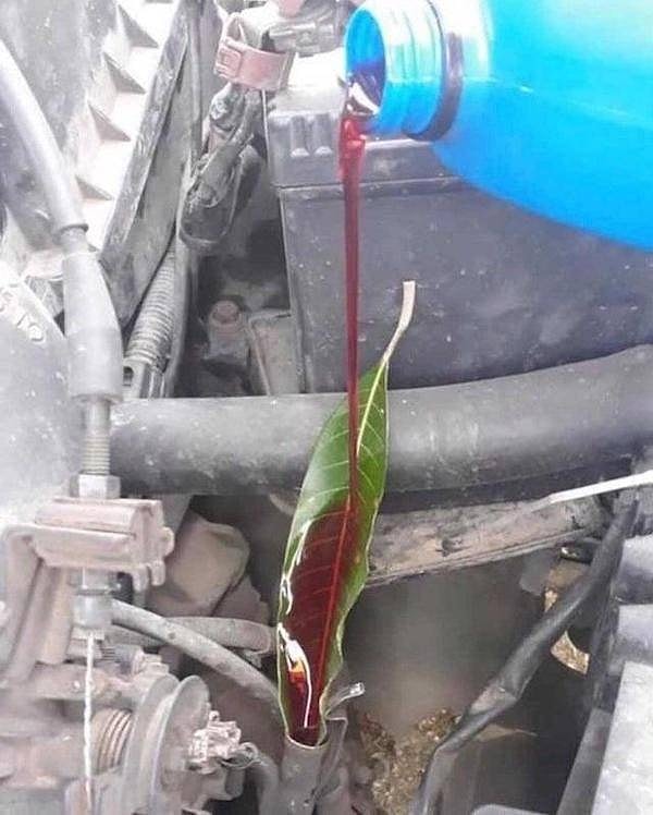 5. "Под рукой не оказалось воронки? Используйте лист!"