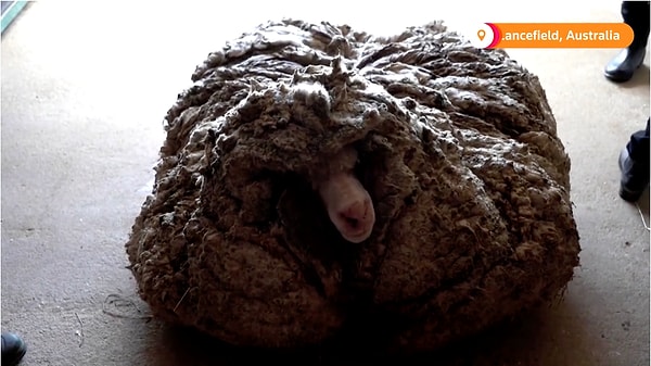 7. Вы только посмотрите на этот объем!