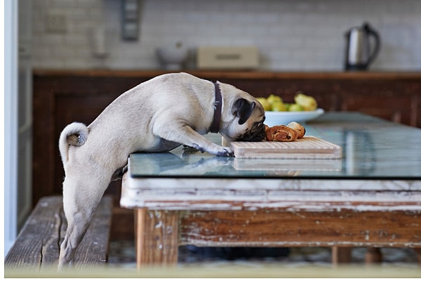 Кормление домашнего духа