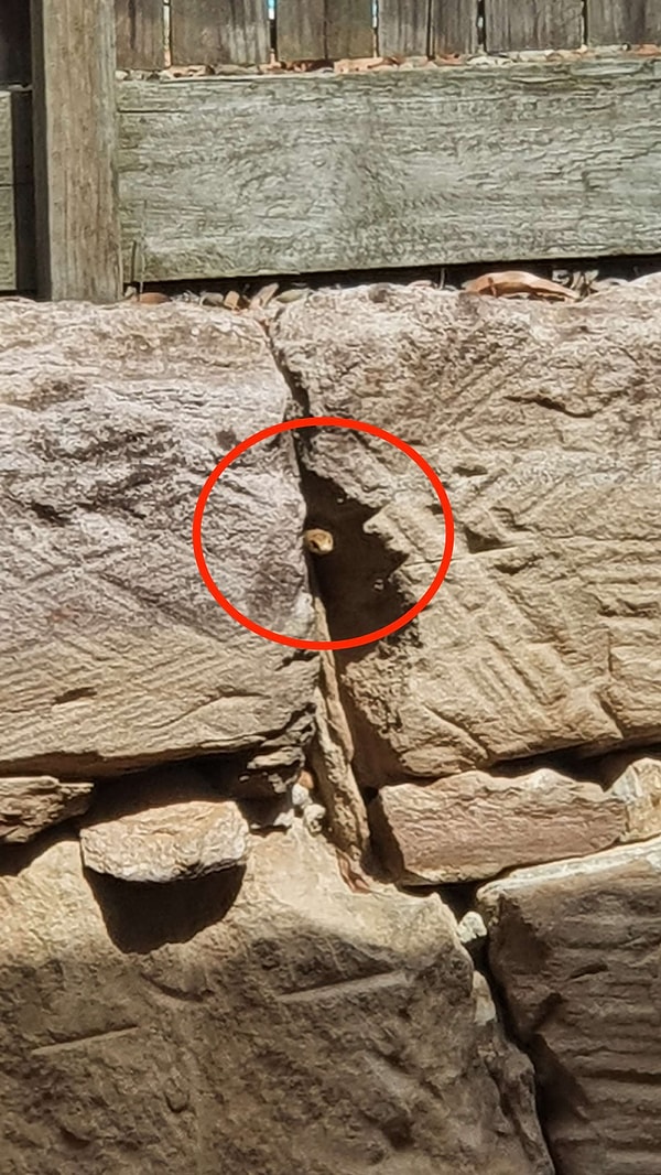 А она тут как тут!