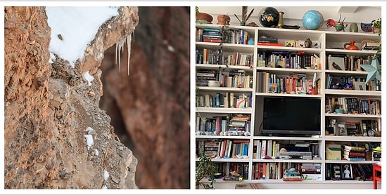 Даже мы не можем найти животных на этих 6-ти реальных фотографиях. А вам по зубам?